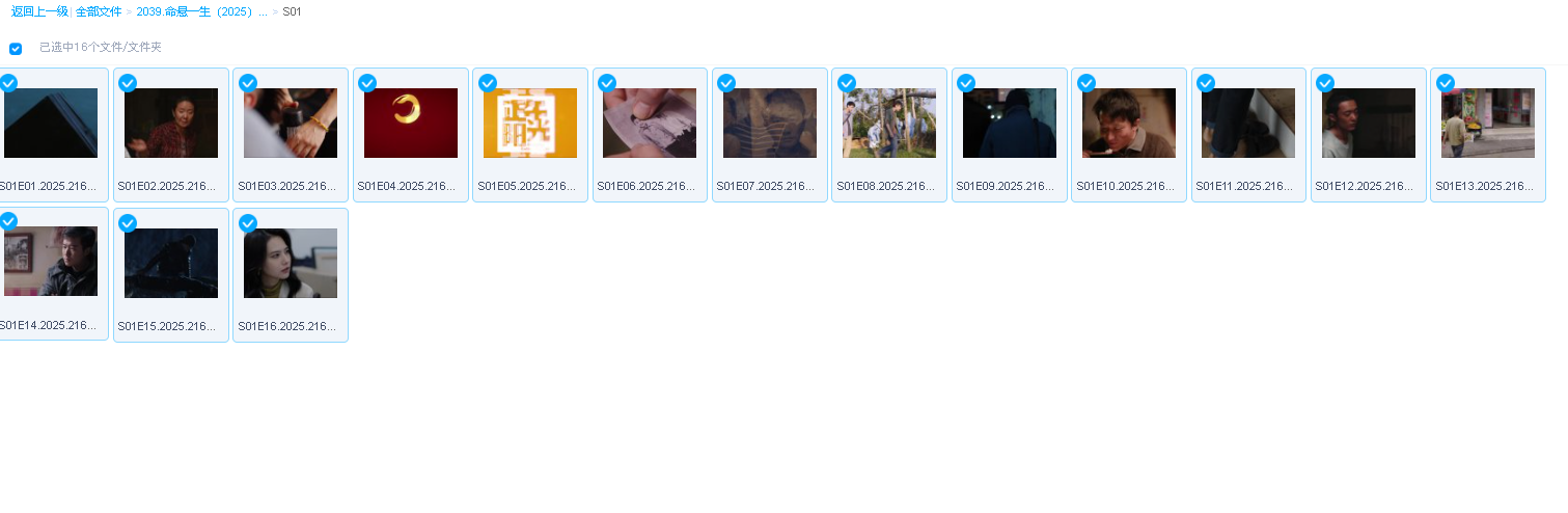 命悬一生（2025）4K全集(先转存再下载以免资源丢失）