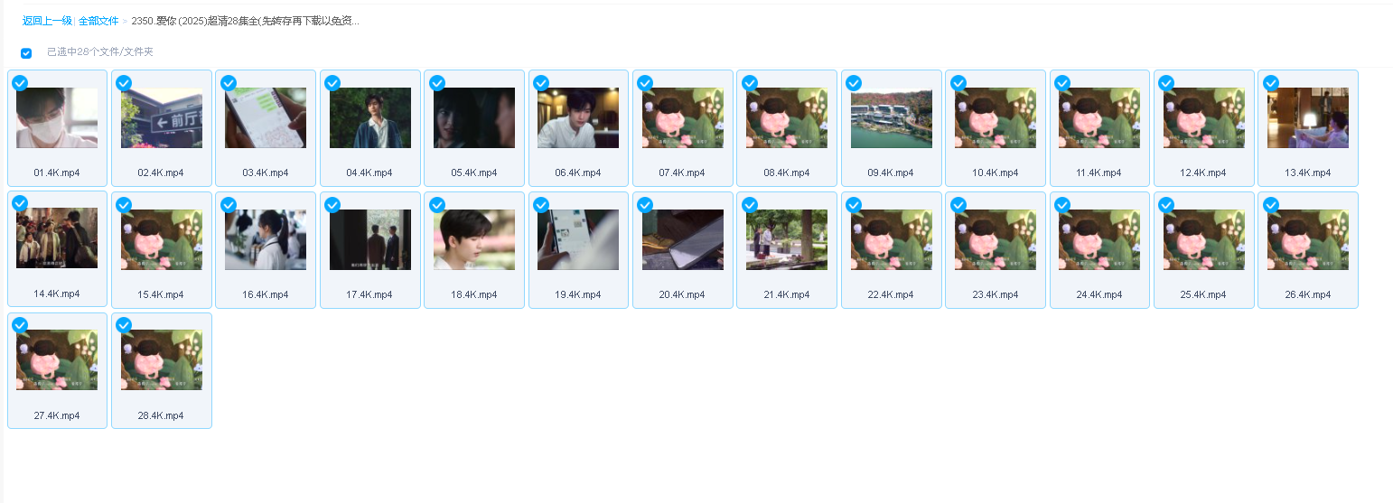 爱你 (2025)超清28集全(先转存再下载以免资源丢失）