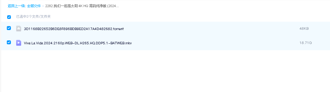 我们一起摇太阳 4K HQ 高码纯净版 (2024)(先转存再下载以免资源丢失）