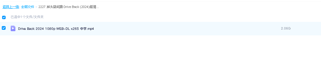 掉头阴间路 Drive Back (2024)超清中字(先转存再下载以免资源丢失）