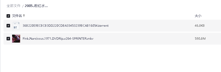 粉红水仙 Pink Narcissus (1971)(先转存再下载以免资源丢失）