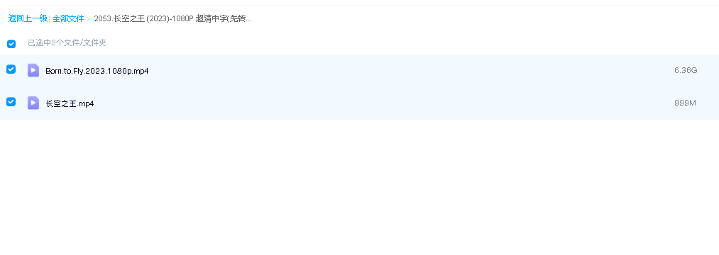长空之王 (2023)-1080P 超清中字(先转存再下载以免资源丢失）