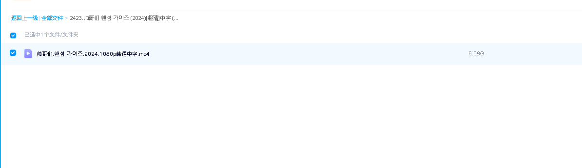 帅哥们 핸섬 가이즈 (2024)[超清]中字 (先转存再下载以免资源丢失）