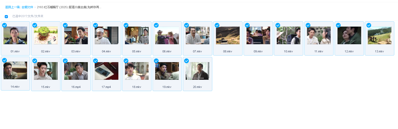 红石榴餐厅 (2025) 超清20集全集(先转存再下载以免资源丢失）