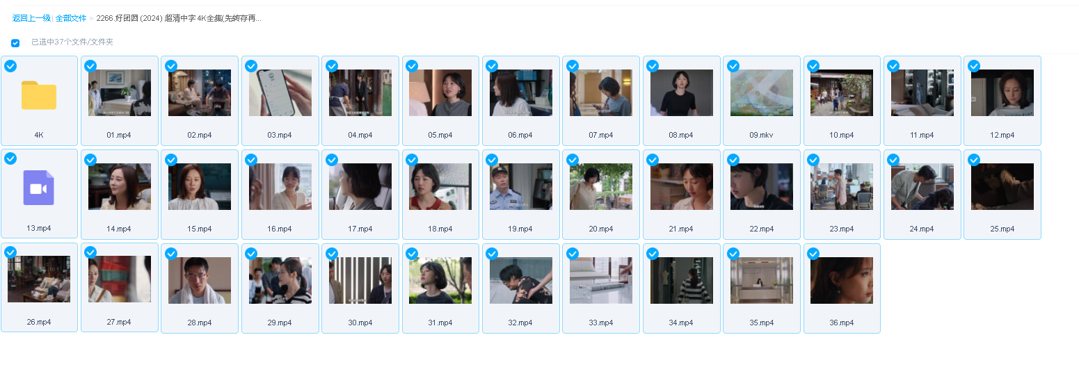 好团圆 (2024) 超清中字 4K全集(先转存再下载以免资源丢失）