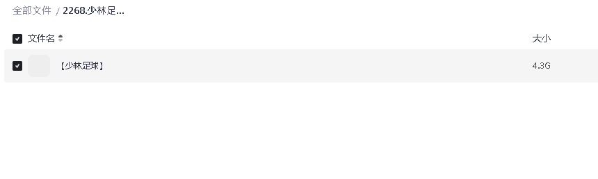 少林足球[国粤双语简繁字幕]4.31GB(先转存再下载以免资源丢失）