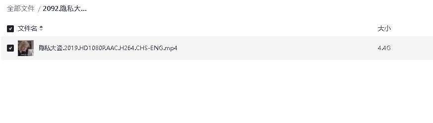 隐私大盗 2019 英语 中英双字 HD1080P(先转存再下载以免资源丢失）