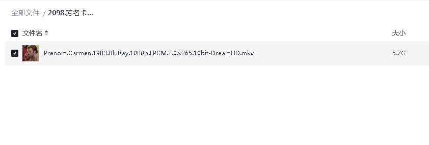 芳名卡门 (1983) 1080P 超清中字(先转存再下载以免资源丢失）