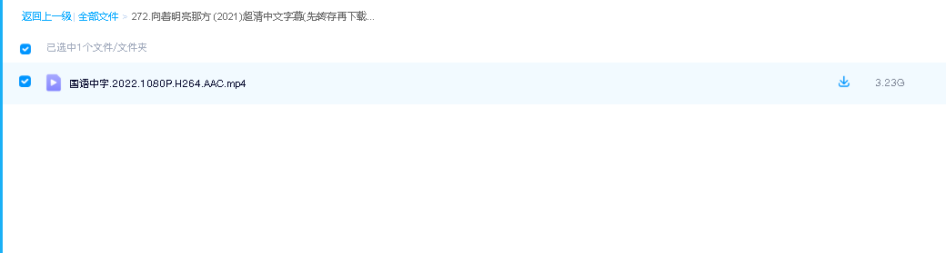 向着明亮那方 (2021)超清中文字幕(先转存再下载以免资源丢失）