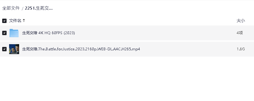 生死交锋 (2023) [WEB-4K] [中英字幕]+4K HDR 60帧 (先转存再下载以免资源丢失）
