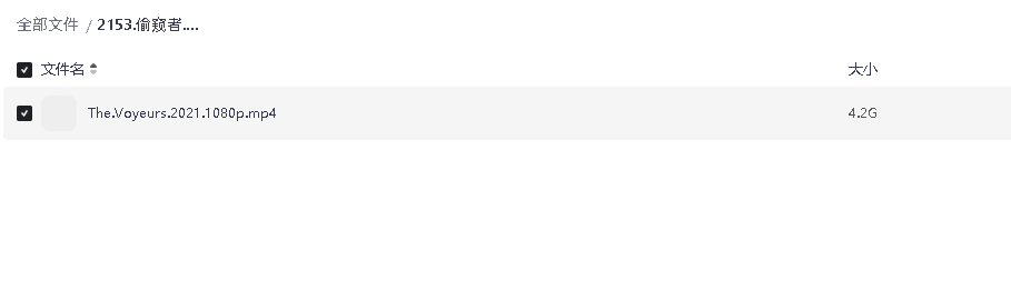 偷窥者.2021 超清中字(先转存再下载以免资源丢失）