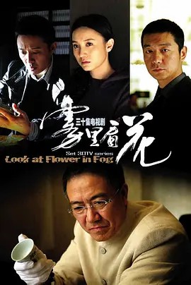 雾里看花 (2009)超清30集全集(先转存再下载以免资源丢失）