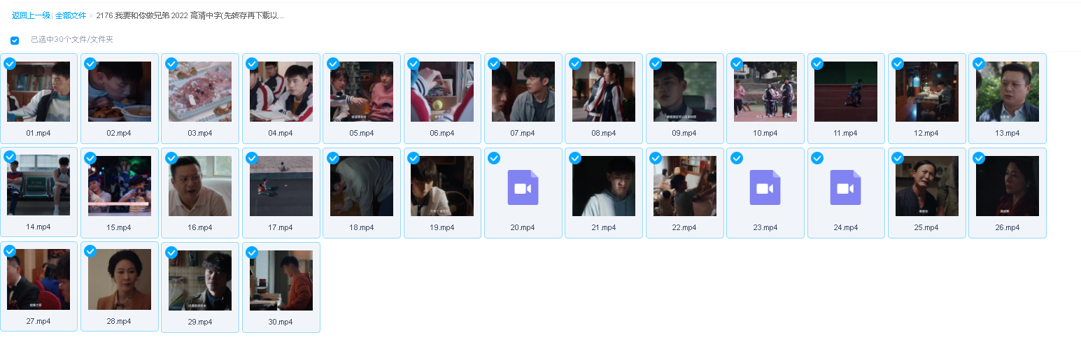 我要和你做兄弟 2022 高清中字(先转存再下载以免资源丢失）