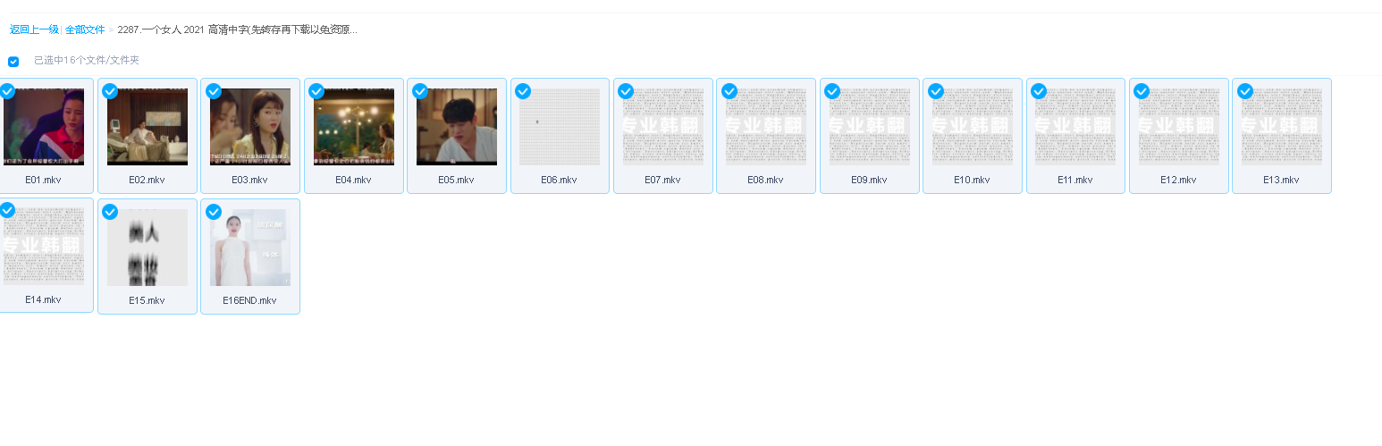 一个女人 2021 高清中字(先转存再下载以免资源丢失）