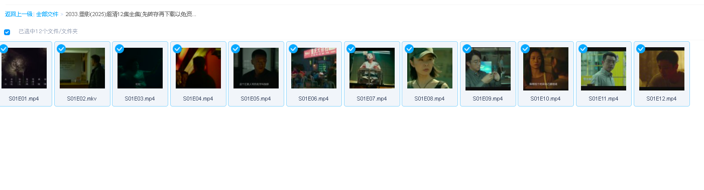 重影(2025)超清12集全集(先转存再下载以免资源丢失）