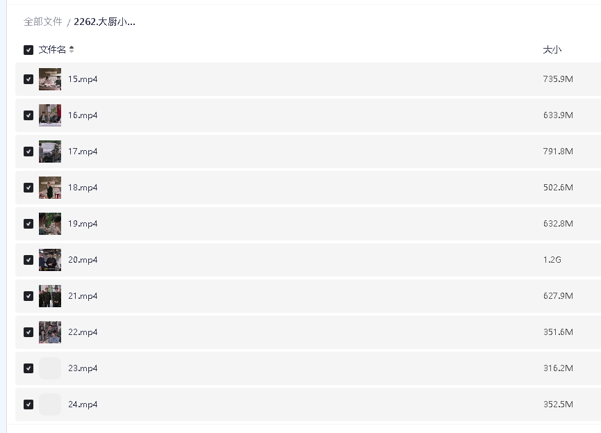 大厨小婿 (2025) 超清中字 24集全(先转存再下载以免资源丢失）