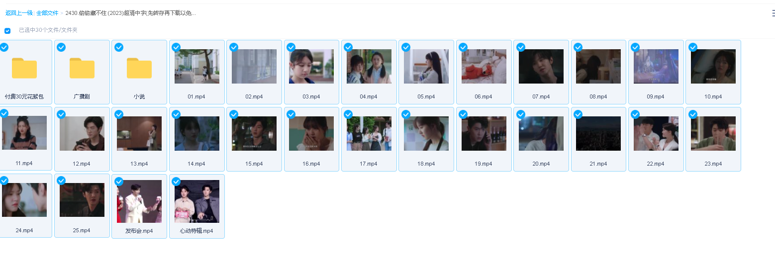 偷偷藏不住 (2023)超清中字(先转存再下载以免资源丢失）