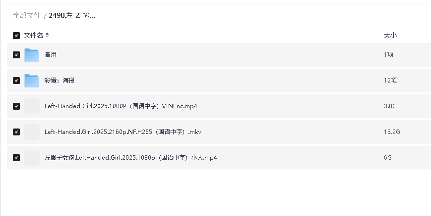 左撇子女孩 (2025)超清中字(先转存再下载以免资源丢失）