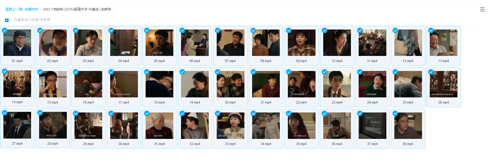 六姊妹 (2025)超清中字 38集全 (先转存再下载以免资源丢失）