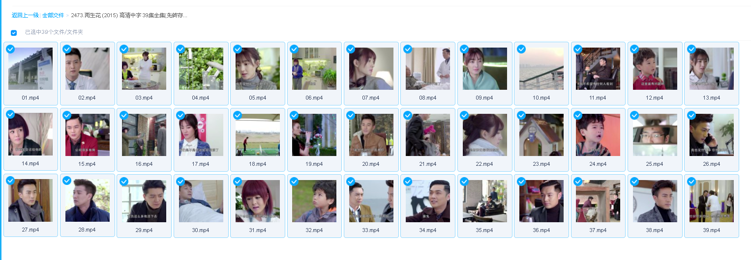 两生花 (2015) 高清中字 39集全集(先转存再下载以免资源丢失）