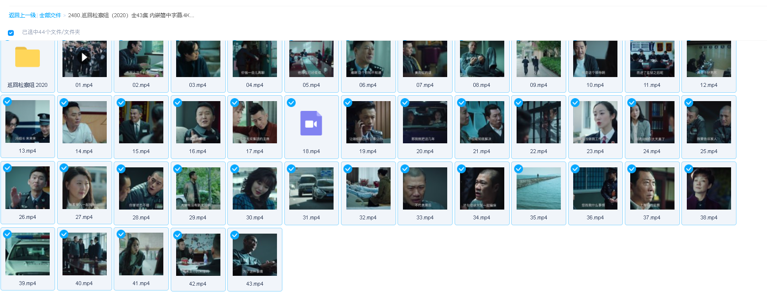 巡回检察组（2020）全43集 内嵌简中字幕 4K+高清版本(先转存再下载以免资源丢失）