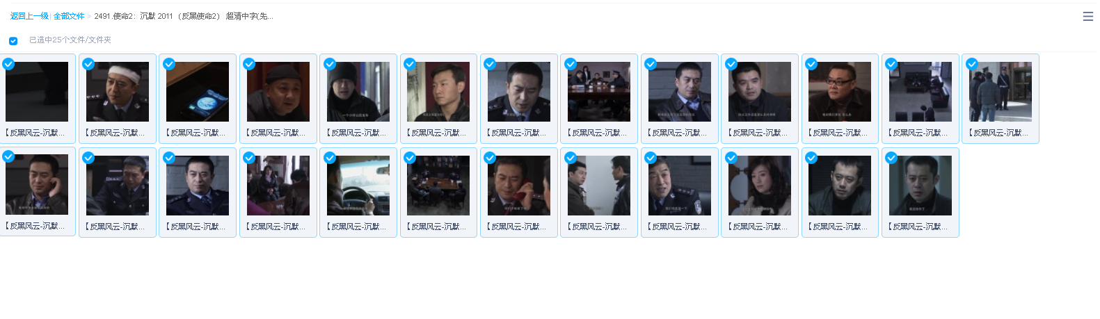 使命2：沉默 2011（反黑使命2） 超清中字(先转存再下载以免资源丢失）