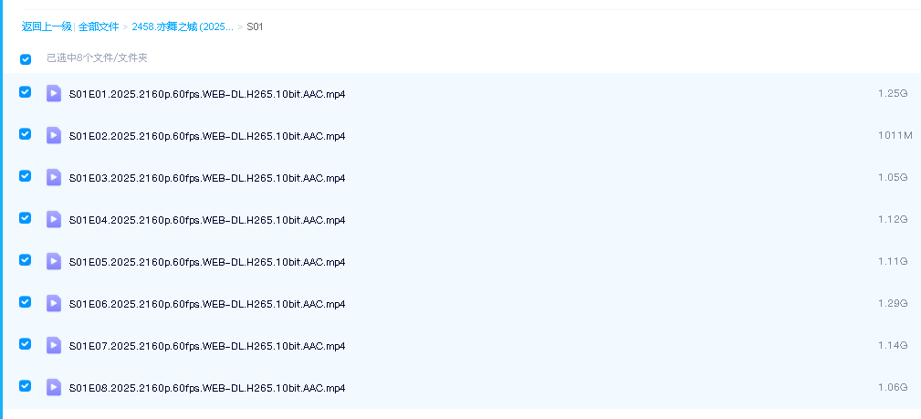 亦舞之城 (2025)超清中字(先转存再下载以免资源丢失）